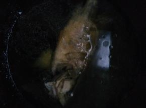 加入适量的水，放入少许盐，料酒