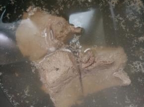 煮一会用小刀将猪肝切开