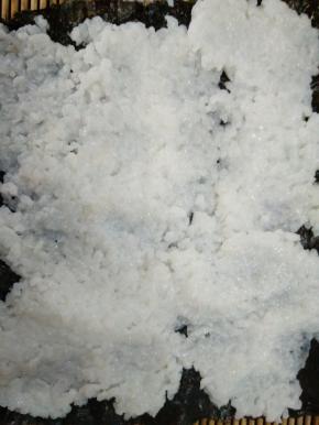 取一片紫菜铺在竹帘卷上，铺上一层寿司米