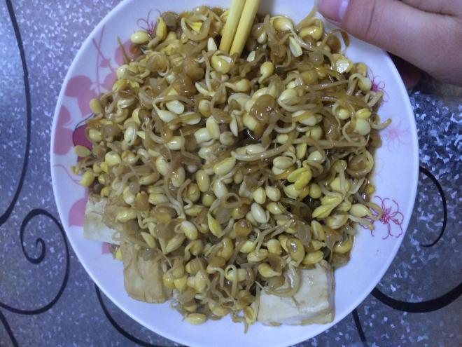 豆芽粉条炖豆腐