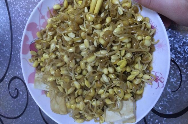 豆芽粉条炖豆腐
