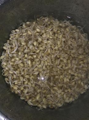 豆芽用清水清洗干净