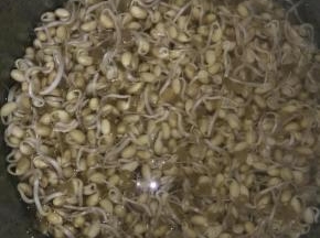 豆芽用清水清洗干净