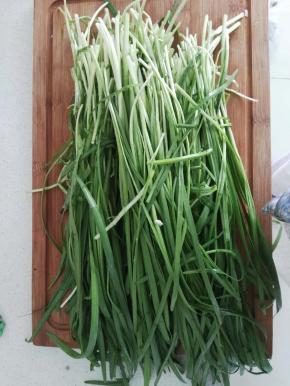 韭菜摘好，清洗干净。