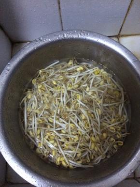 豆芽用清水清洗干净，捞出。