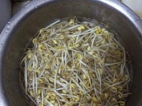 豆芽用清水清洗干净，捞出。