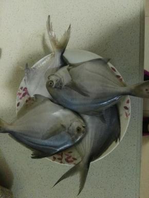 鲳鱼清除内脏洗净，放入盘子中