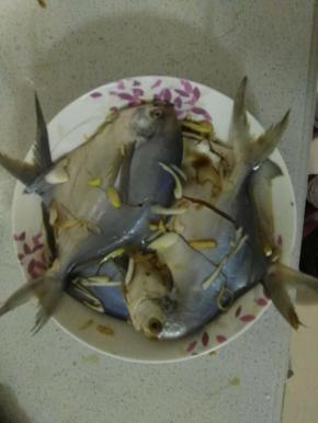 在鱼身两面划上花刀，把葱和料酒放到鱼上，腌制十五分钟左右。鱼肚也放点葱。鱼划上两刀不仅容易蒸熟，也更入味。