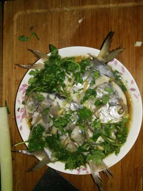 把油淋热搅匀，铺在鱼上。香菜切成段状，撒上即可。