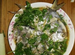 把油淋热搅匀，铺在鱼上。香菜切成段状，撒上即可。