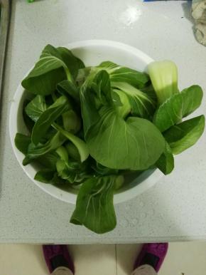 把油菜和香菇清洗干净。