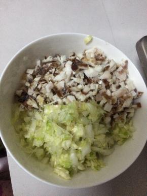 白菜切好剁碎，放入适量盐等白菜出水，把水分挤出。把肉切成碎状。放入白菜中。