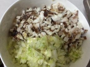 白菜切好剁碎，放入适量盐等白菜出水，把水分挤出。把肉切成碎状。放入白菜中。