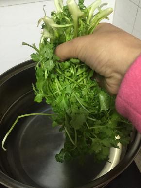 准备香菜，洗干净，放入盛好水的锅里