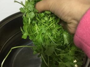 准备香菜，洗干净，放入盛好水的锅里