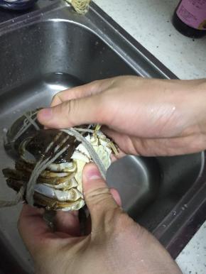 把大闸蟹捆好，洗干净
