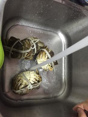 把大闸蟹捆好，洗干净