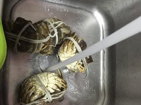 把大闸蟹捆好，洗干净