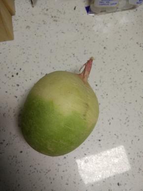 买回来的萝卜洗净外面的泥土