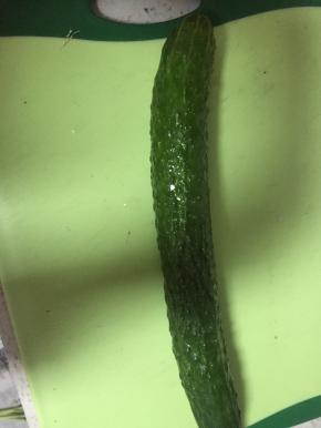 准备好黄瓜，洗干净