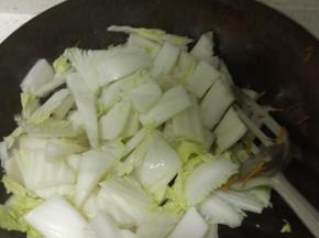 炒锅倒入少量油，烧热后加葱蒜炒香，把白菜帮放进去进行翻炒,加入适量的盐,容易炒软