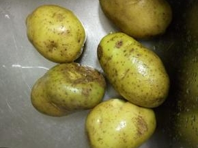 土豆适量清洗干净去皮