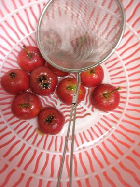 山楂洗赶紧,控干水分,去除里面的核