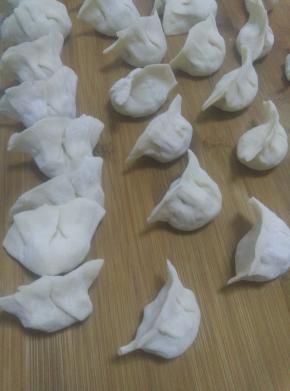 把胡萝卜葱和肉放入盆中加入调料搅拌均匀，馅调制好后，用准备好的皮包水饺