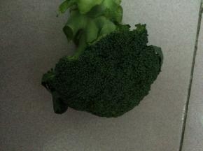 准备好西兰花和米饭。
