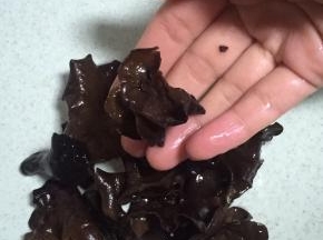把木耳用冷水泡开，用手掰碎
