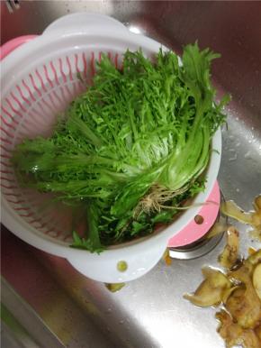 苦菊清洗干净控干水分切成小段备用