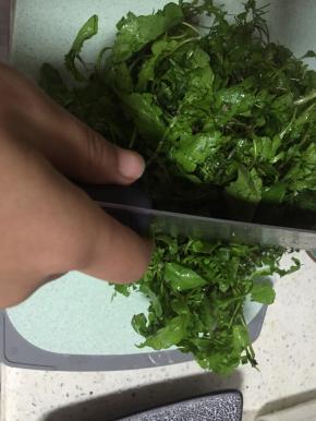 采摘好荠菜，洗干净，切成小段
