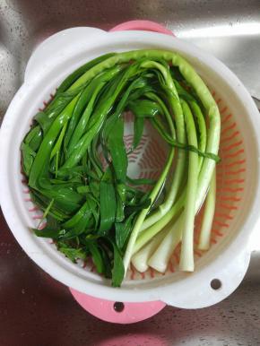 蒜苗摘洗干净控干水分