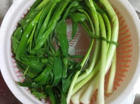 蒜苗摘洗干净控干水分