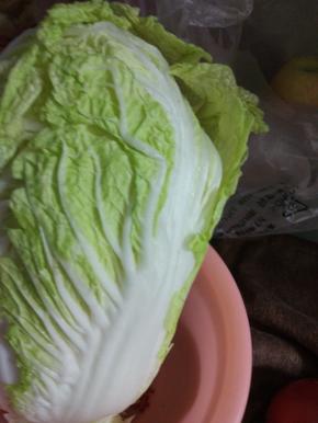 适量白菜
