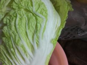 适量白菜