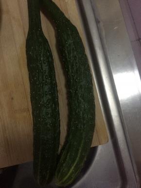 黄瓜清洗干净