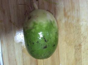 萝卜清洗干净削去皮，