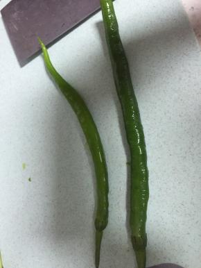 准备尖椒俩个