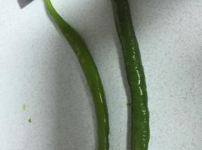 准备尖椒俩个