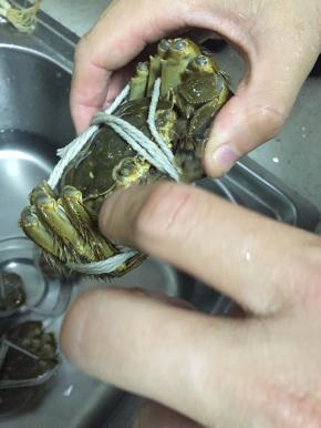 大闸蟹捆好，洗干净