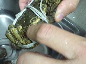 大闸蟹捆好，洗干净