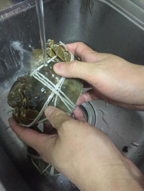 把大闸蟹捆好，洗干净