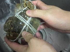 把大闸蟹捆好，洗干净