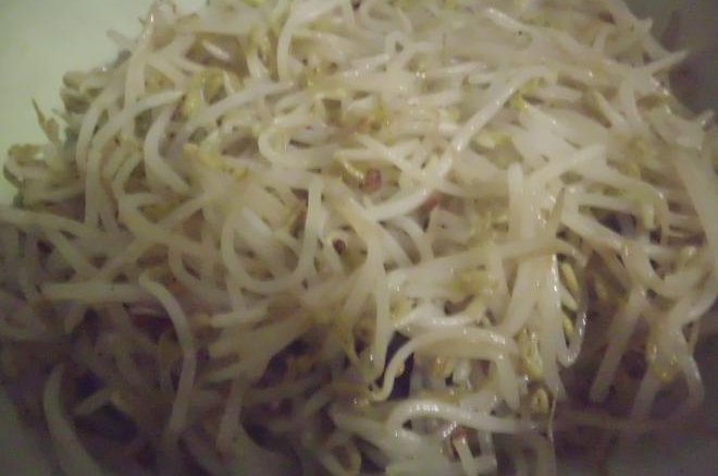 炝炒豆芽