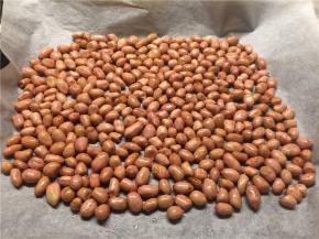 把拌好的花生米平铺在放了油纸的烤盘上