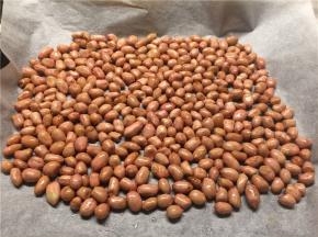 把拌好的花生米平铺在放了油纸的烤盘上