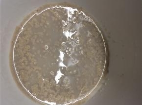 将酵母放进30g温水中，静置5分钟活化