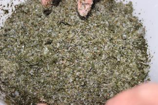 乌饭叶洗净剁碎（我家的是弄好后存放在冷冻室中的）