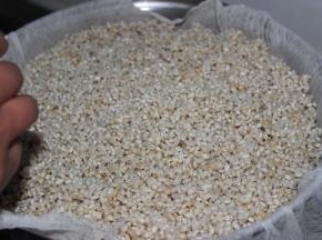 用分离得到的乌饭水浸泡糯米4小时以上；
浸泡好的糯米用纱布兜住，隔水上蒸笼蒸半小时